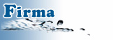 Firma